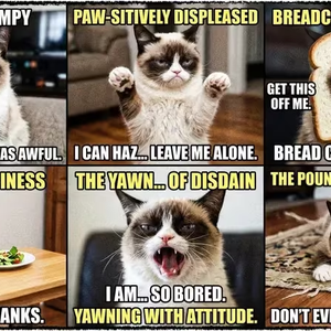Meme Lucu Ngakak: Panduan Lengkap, Contoh, dan Cara Bikin Viral